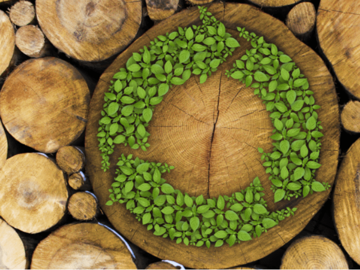 Aufnahme von mehreren Holzscheiten versehen mit einem Recyclingsymbol aus Klee